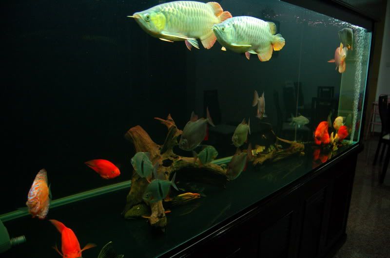 DSC_7078_resize.jpg