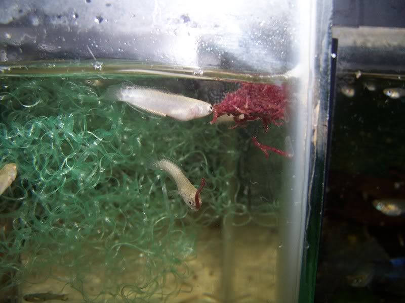 100_0502.jpg