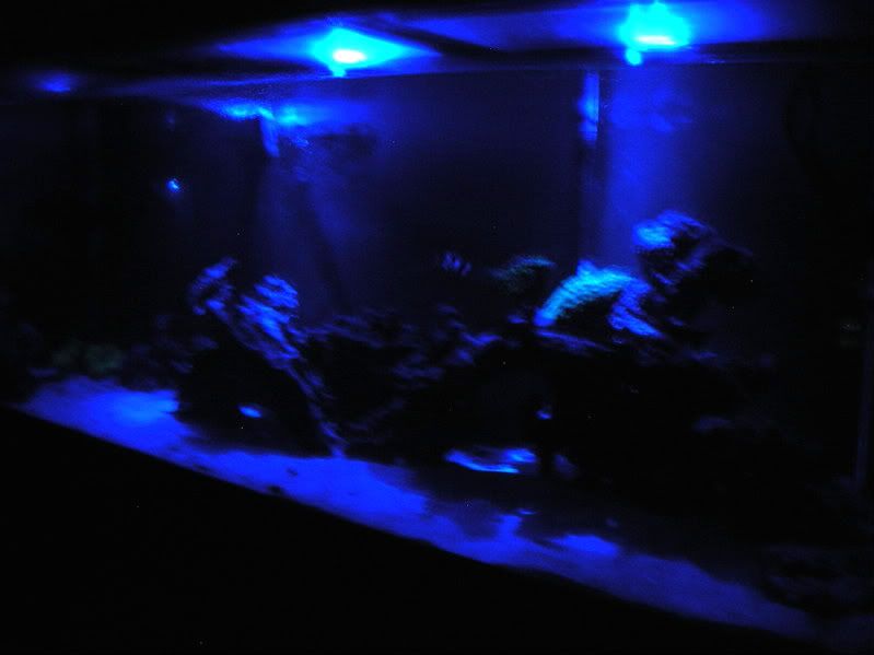 WorkPix033-1.jpg