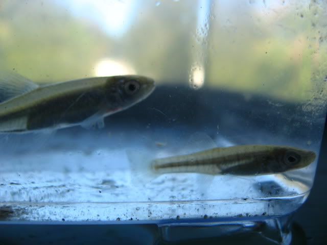 3b07bb22.jpg