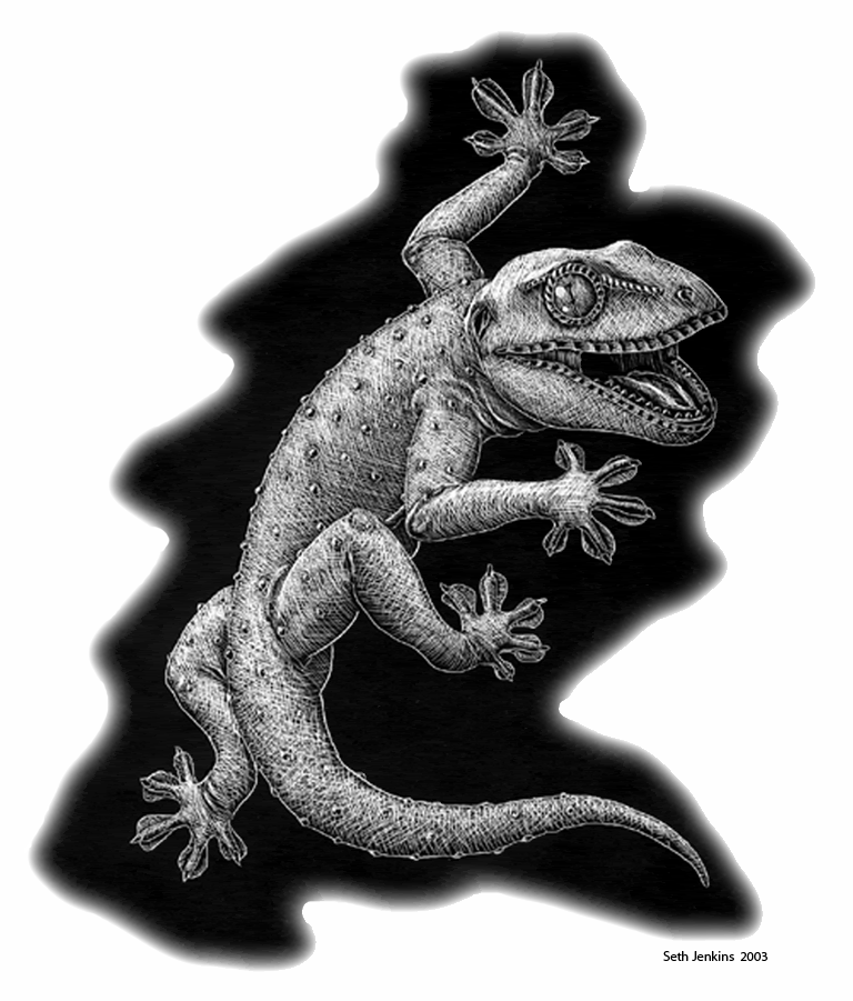 geckologo.gif