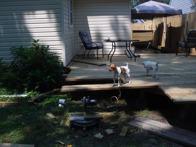 DSC05262.jpg