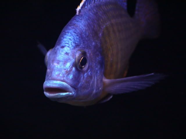 DSC01556.jpg