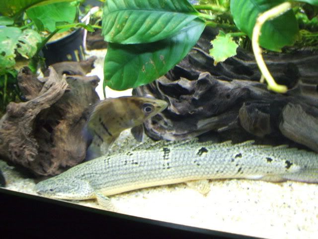 DSCF1114.jpg
