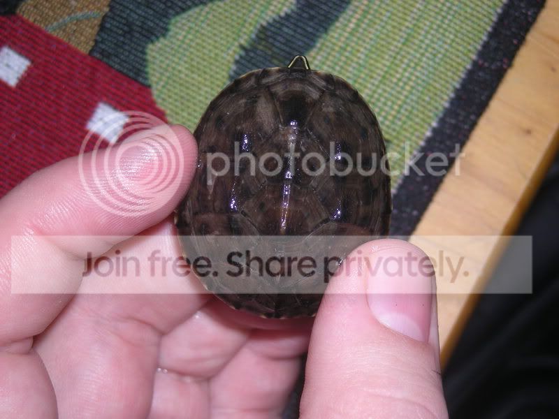 DSCN1381.jpg