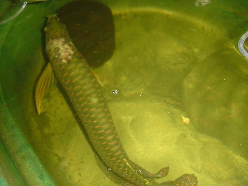 1-25-08018.jpg