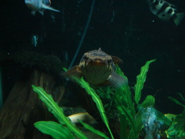 DSC01063.jpg
