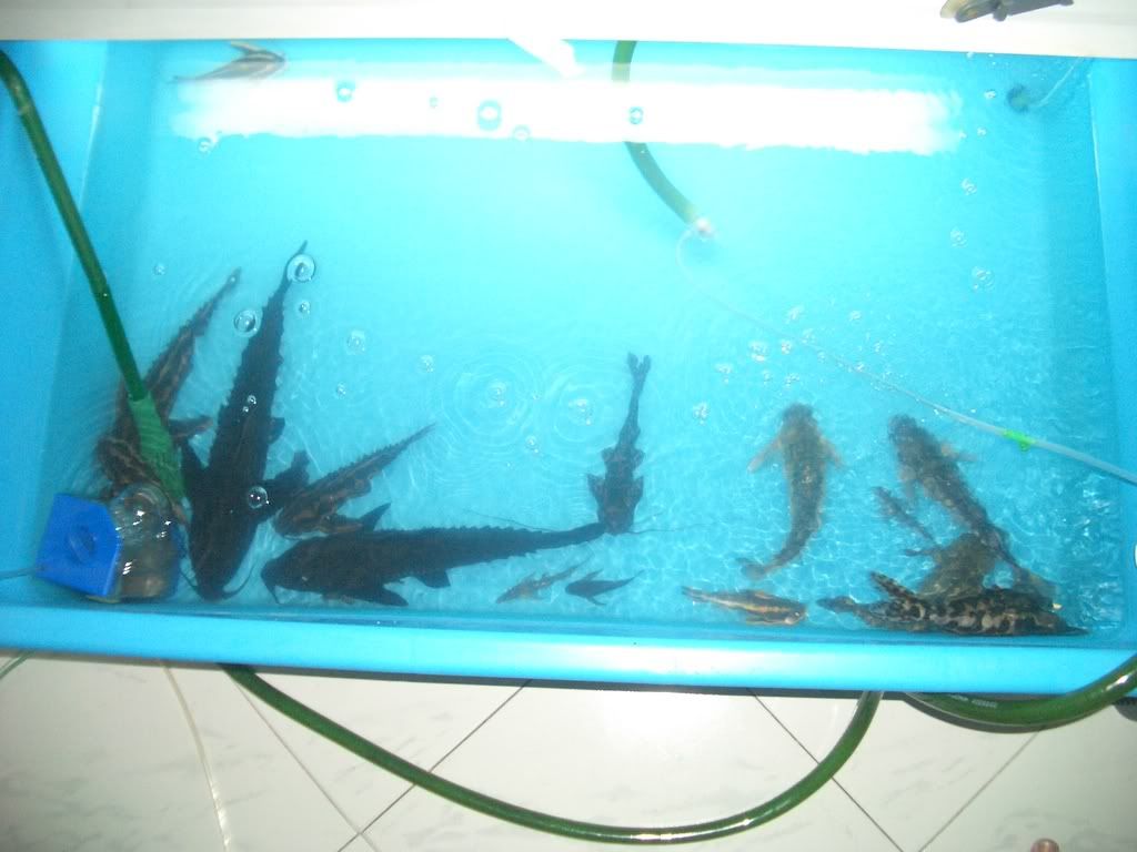 CIMG0093.jpg