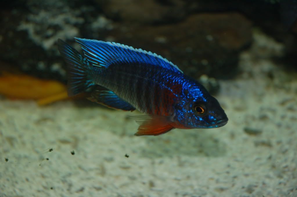 DSC_0238.jpg