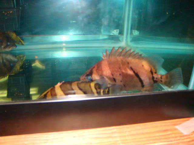DSC01049.jpg