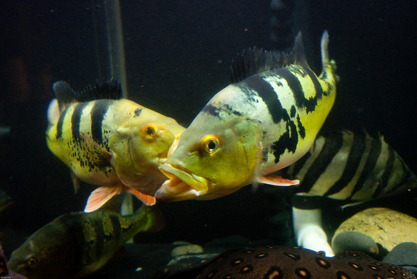 882788058_qA8dC-M.jpg