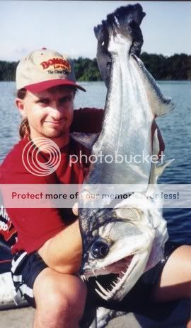 Payara.jpg