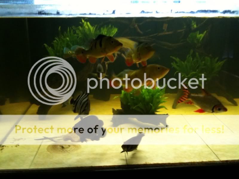 photo17.jpg