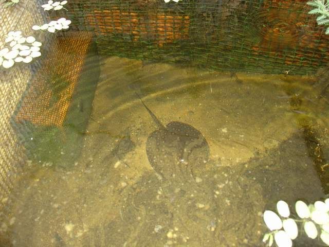 DSC05355.jpg
