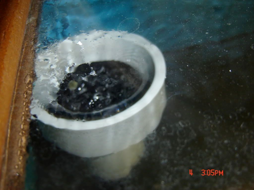 DSC04193.jpg
