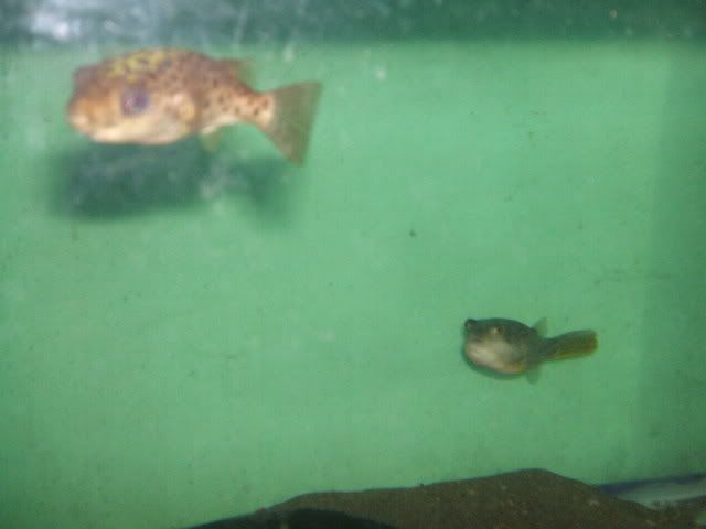 DSCF2435.jpg