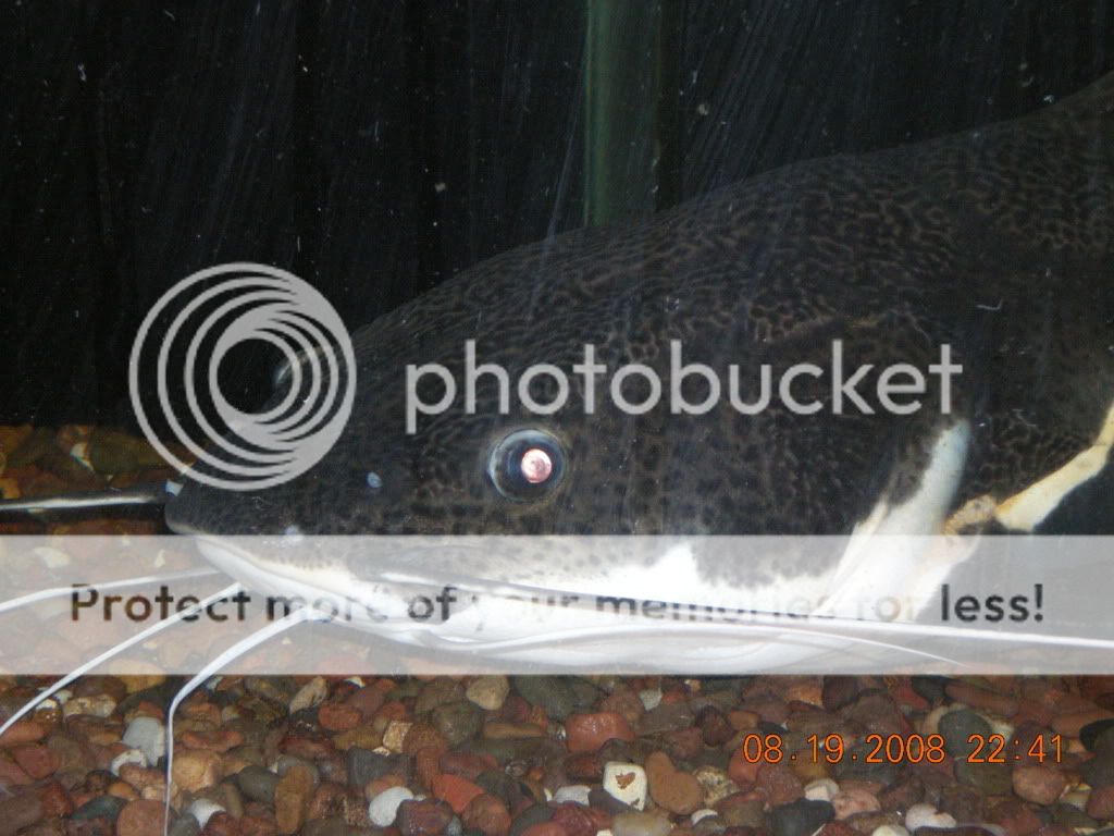 DSCN0604.jpg