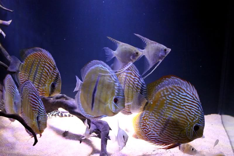 Group2-1.jpg