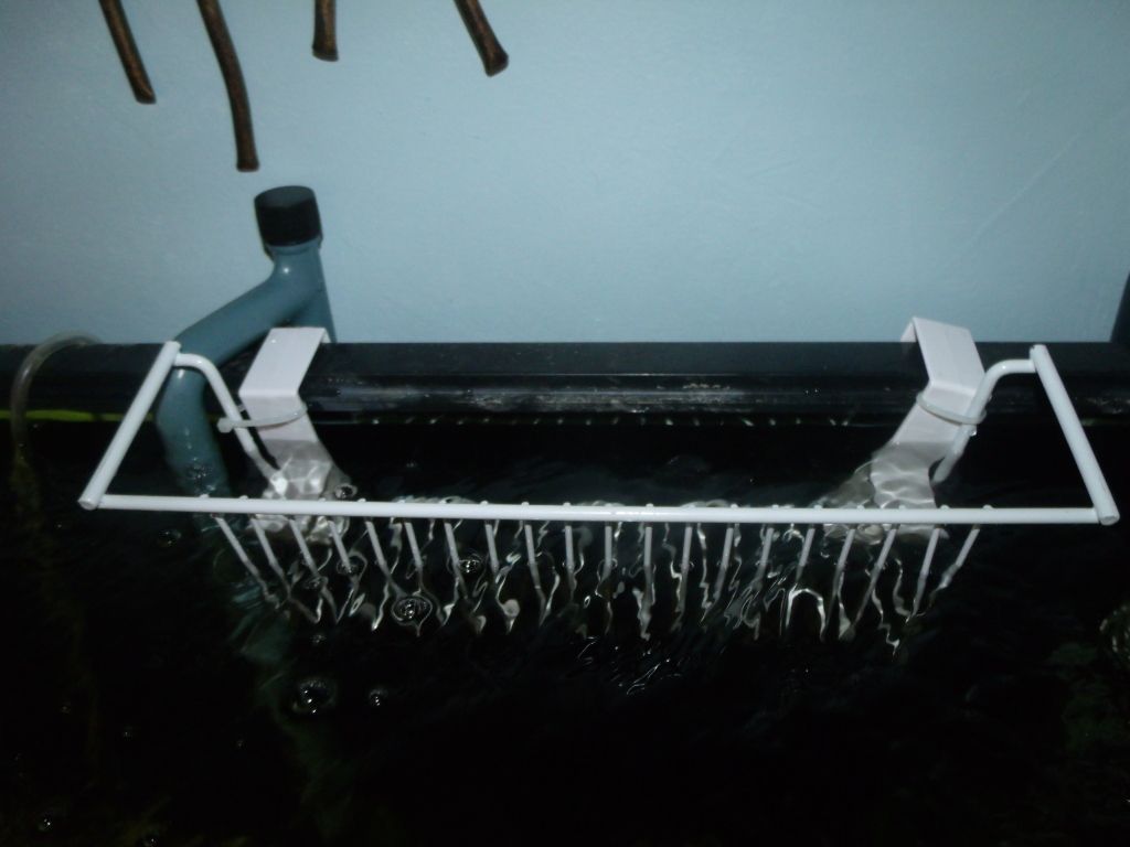 006-5.jpg
