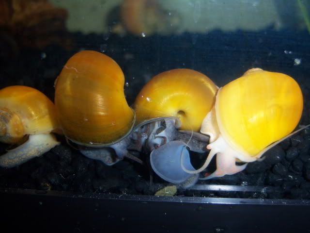 100_5569.jpg