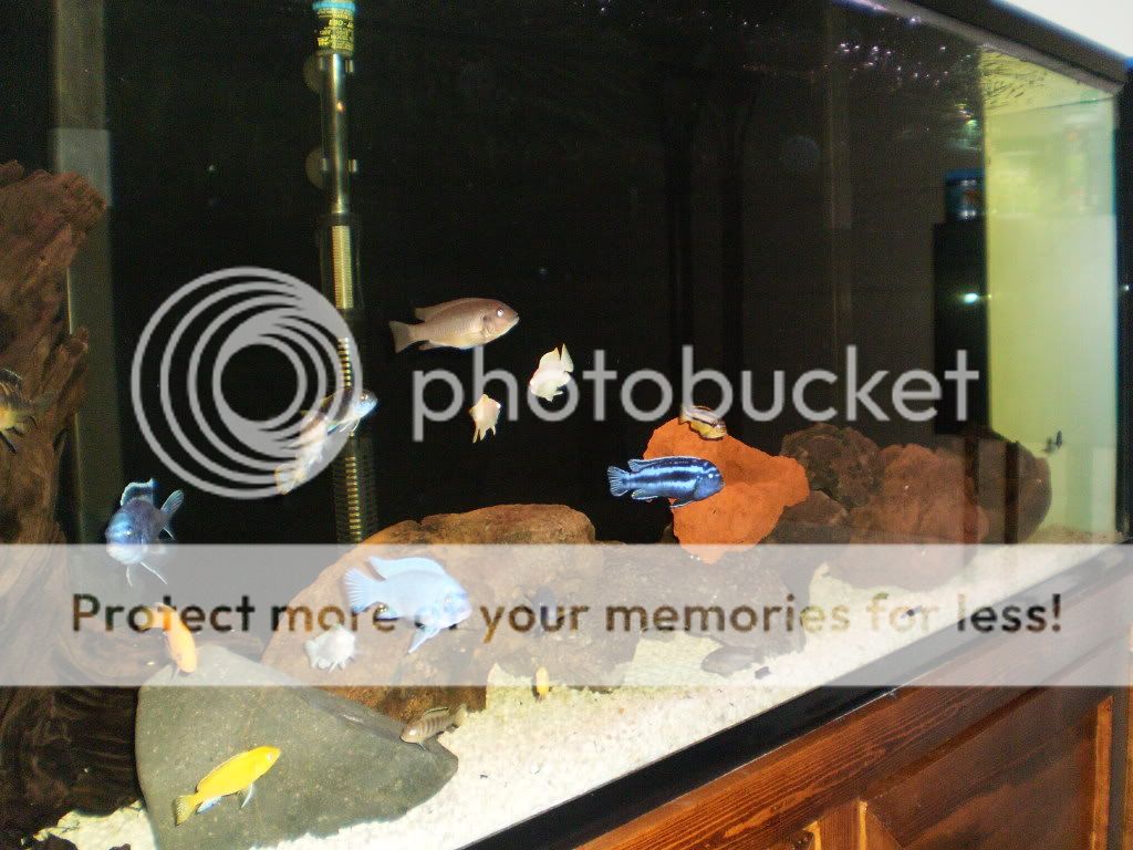 Fish070.jpg