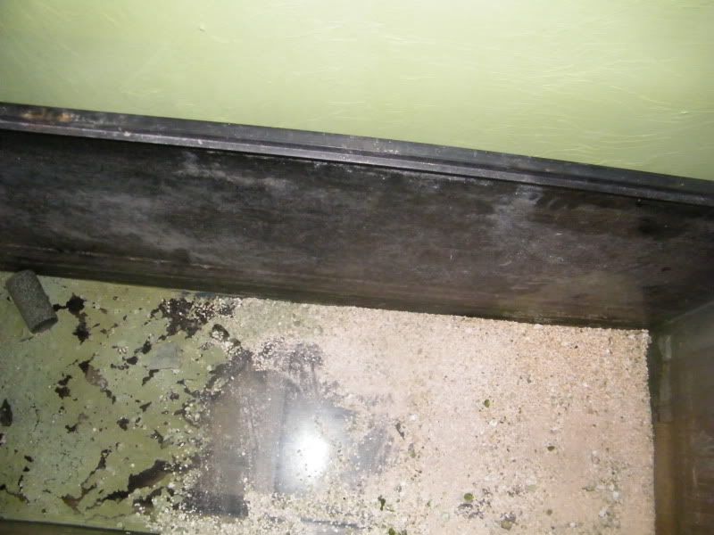 DSCF0780.jpg