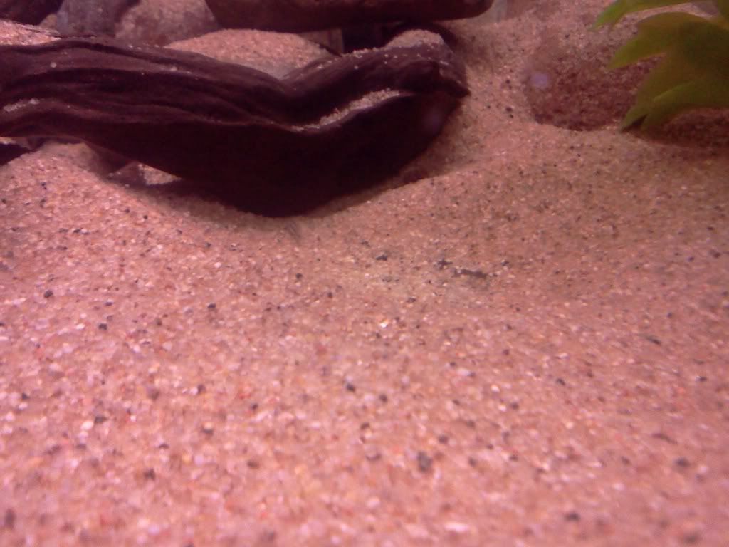 IMG_20110902_231904.jpg
