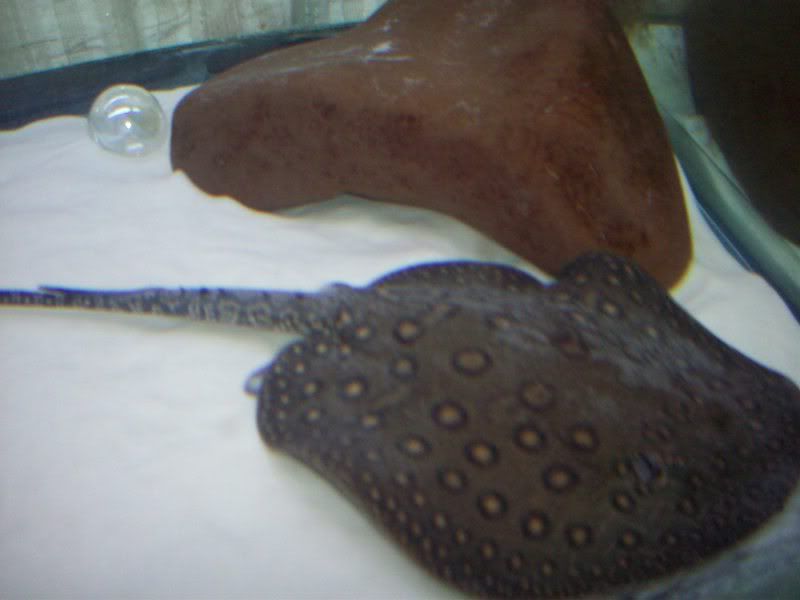 100_2537.jpg