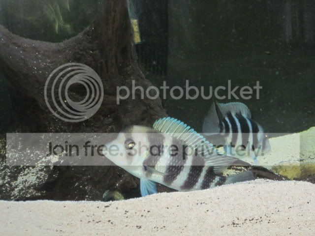 Picture150.jpg