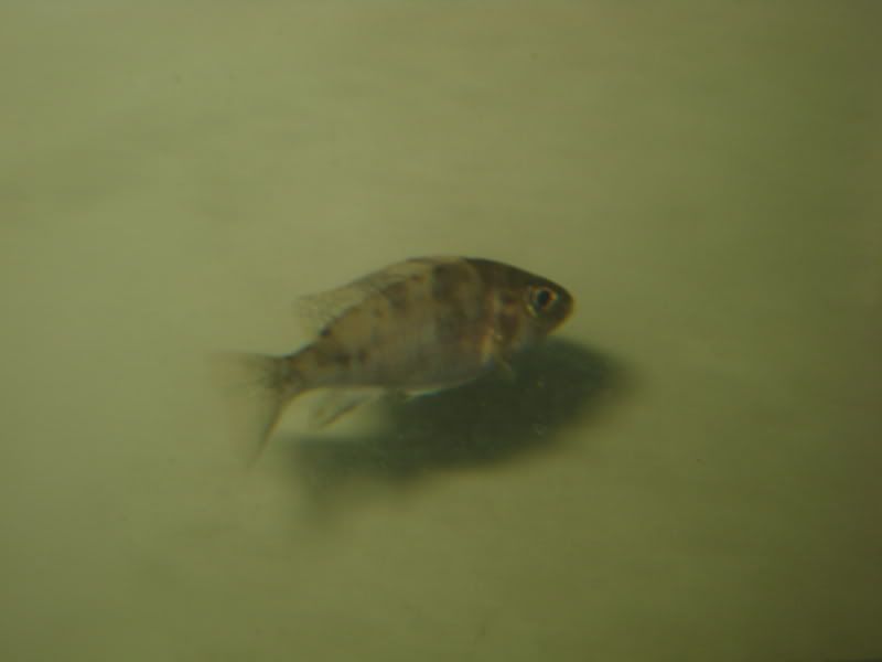 IMG_2473.jpg
