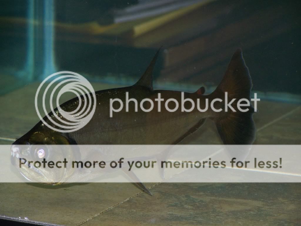 220-2016.jpg