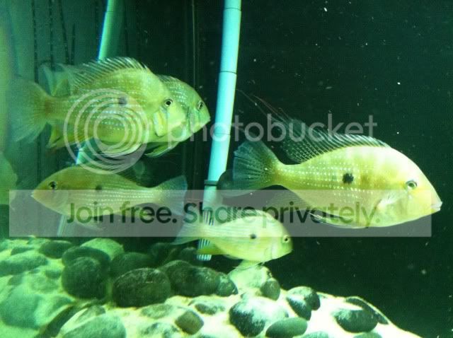IMG_0567.jpg