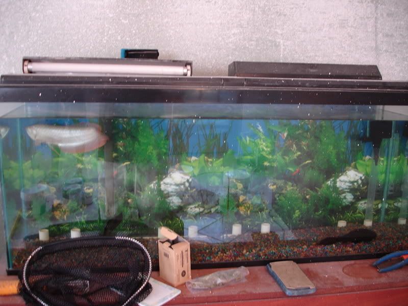 DSC02450.jpg
