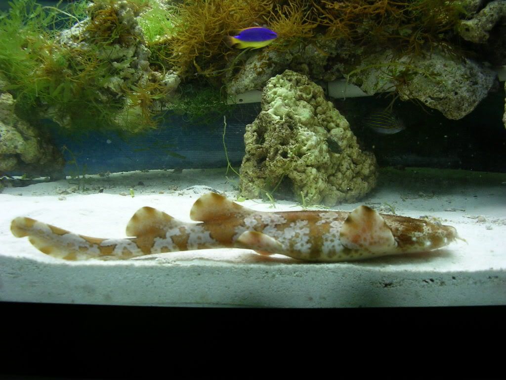 DSCN1330.jpg