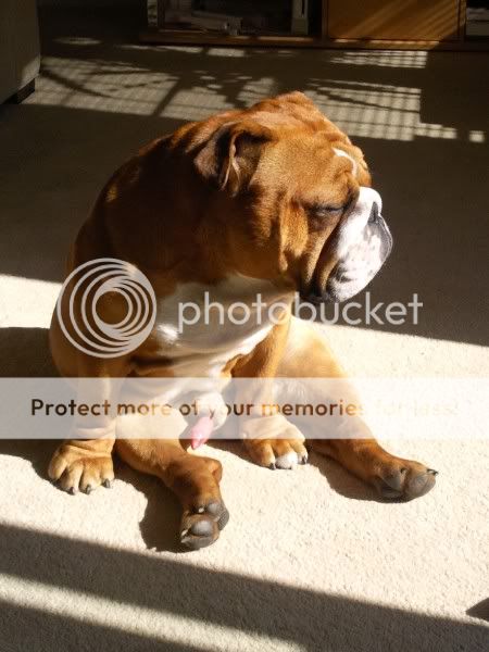 8a0fdfe3-d251-43f2-b93e-972bc597fd0.jpg