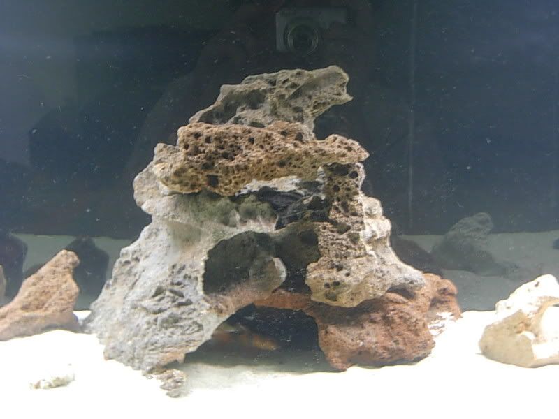 DSCN1309.jpg