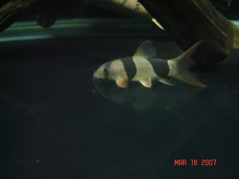 DSC04430.jpg