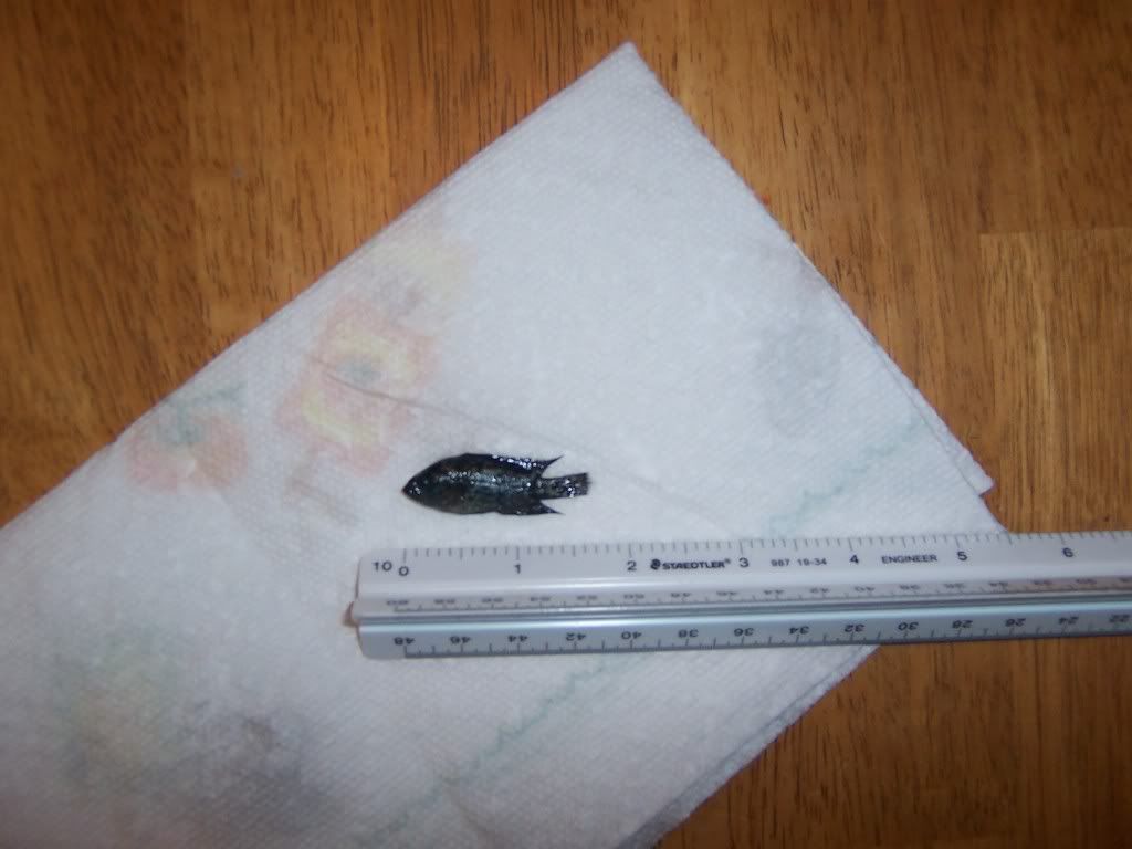 100_5525.jpg