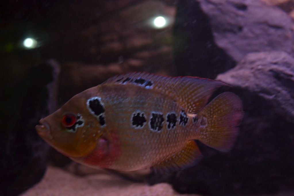 9-19-2012082_zps2d1ac367.jpg