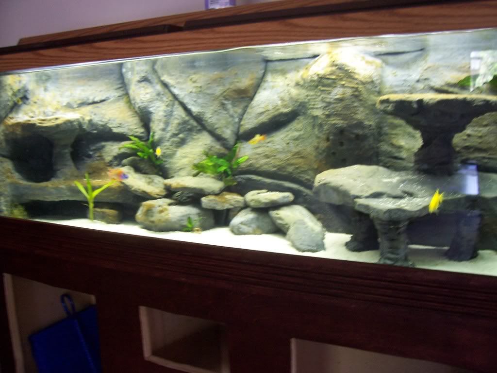 tankstand019.jpg