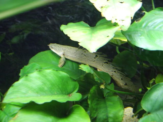 DSCF1131.jpg