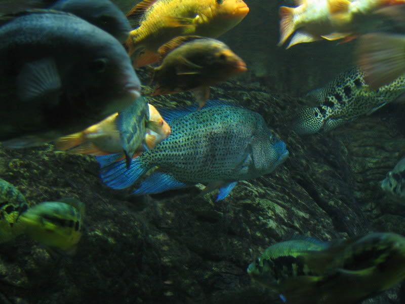 IMG_1213.jpg