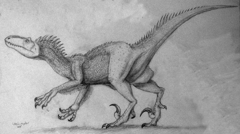 Utahraptor.gif