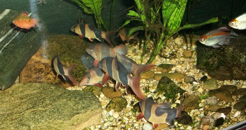 100_0058.jpg