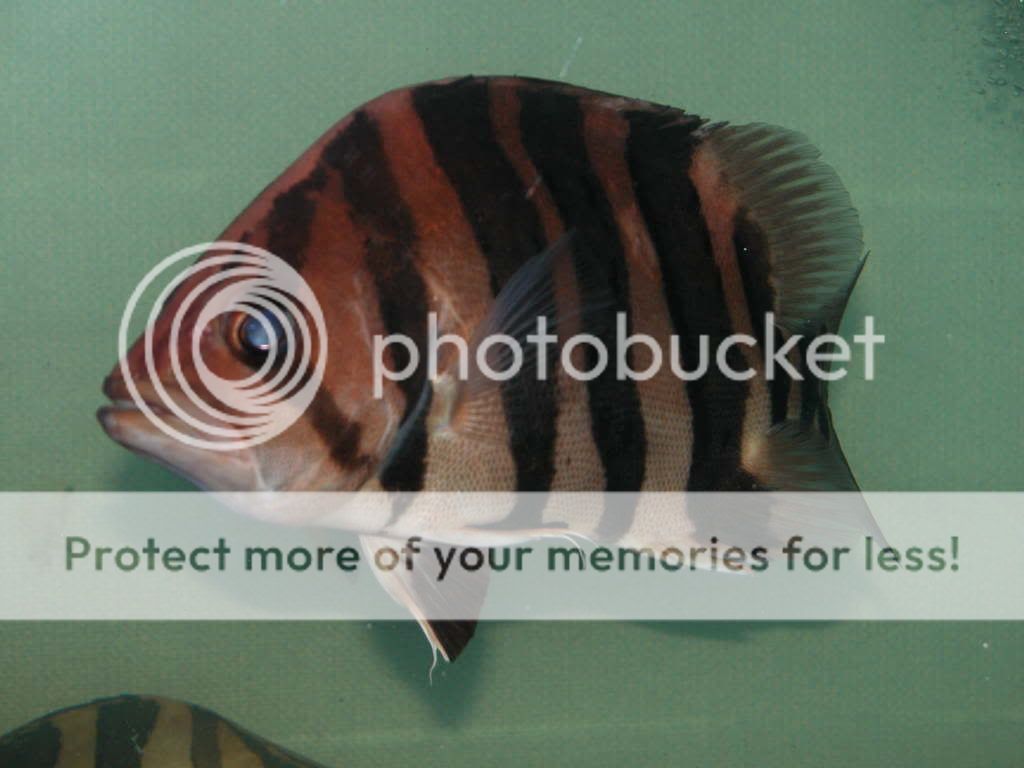 DSCN8963.jpg