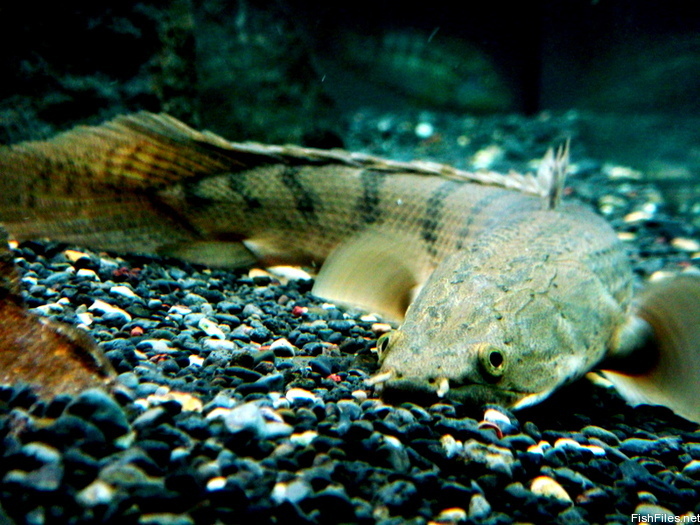 afcxy6mo_DSC02204.JPG