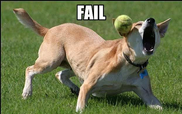 failf.jpg