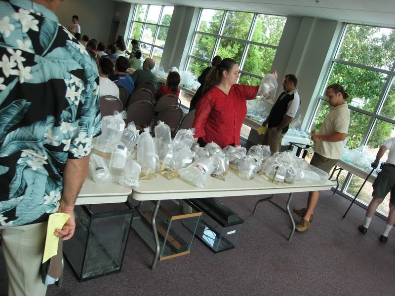 IMG_1581.jpg