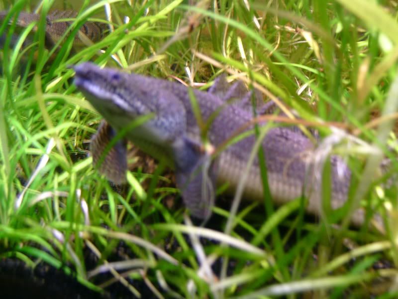 Bild230.jpg