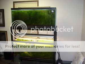 eww-aquarium.jpg